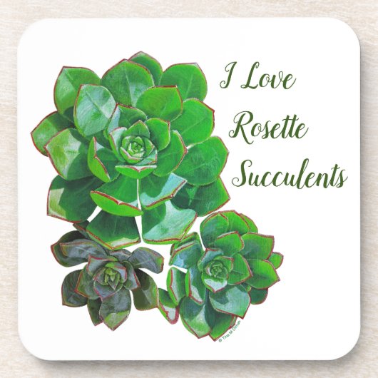Rosette Succulents Plastic Onderzetter (Voorkant)
