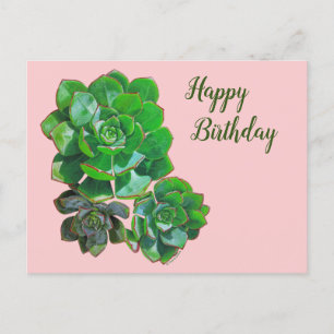 Rosette Succulents Post Kaart