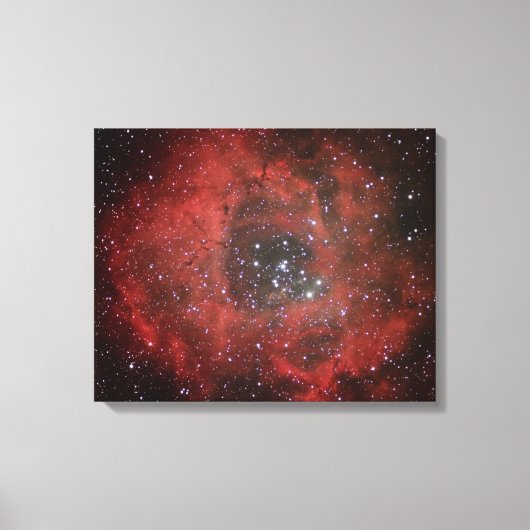Rosettenevel #1 canvas afdruk (Voorkant)