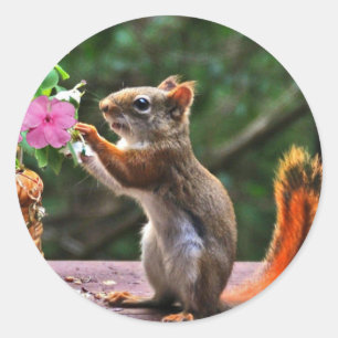 Rosh Hashanah Cards Gifts Ronde Sticker