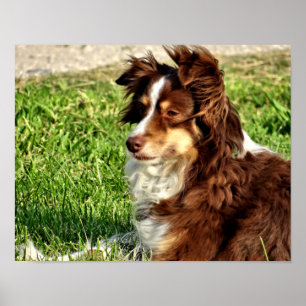 Rosie in de bries poster