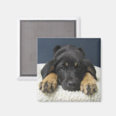 Rosie Magneet (Voorkant / Achterkant)