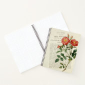 Rosier Eglantine : Un Cahier Botanique Vintage (Intérieur)