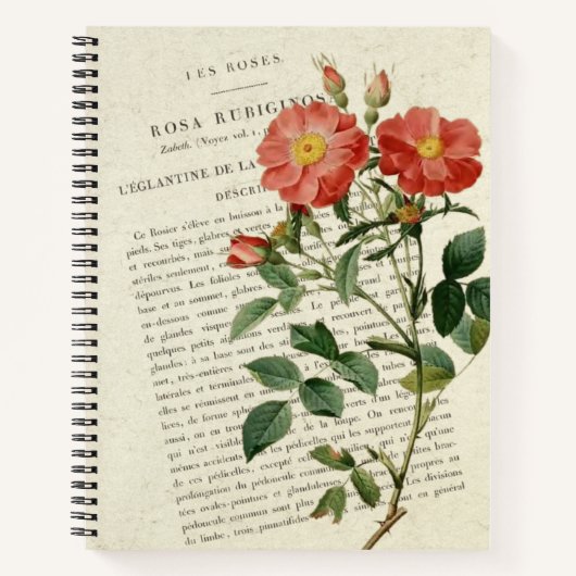 Rosier Eglantine : Un Cahier Botanique Vintage (Devant)