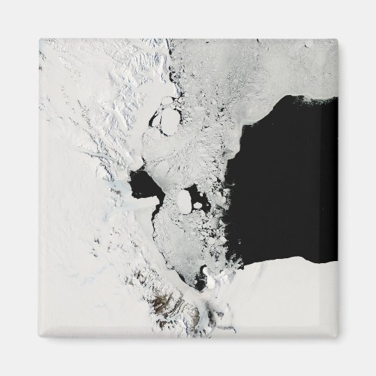 Ross Zee, Antarctica Magneet (Voorkant)