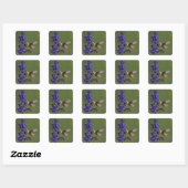 Rosse Kolibrie Vierkante Sticker (Vel)