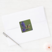 Rosse Kolibrie Vierkante Sticker (Envelop)