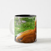 Rosse Stekelstaart Tweekleurige Koffiemok (Voorkant links)