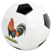 Roster de Gamecock Wheaten (3/4)