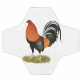 Roster de Gamecock Wheaten (Plat)