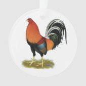 Roster de Gamecock Wheaten (devant)