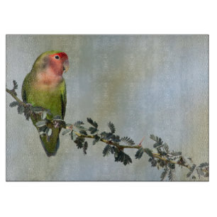 Rosy-gelaatstrekkende liefvogel op een tak snijplank