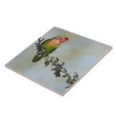 Rosy-gelaatstrekkende liefvogel op een tak tegeltje (Zijkant)