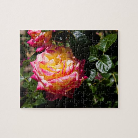 Rosy Glow Legpuzzel (Horizontaal)