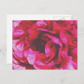 Rosy Roos Briefkaart (Voorkant / Achterkant)