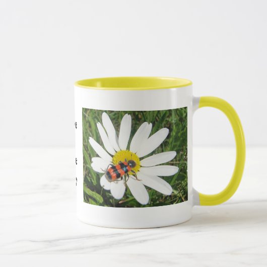 Rot-schwarzer Käfer auf weisser Margerite, Tasse (Droite)