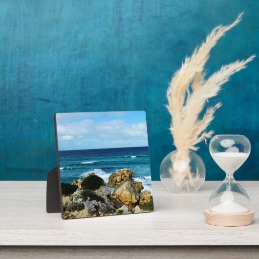 Rot van de oceaan fotoplaat (Insitu)