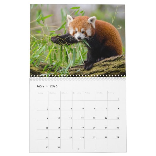 Rote Pandas Kalender (Mar 2026)