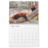 Rote Pandas Kalender (Feb 2026)
