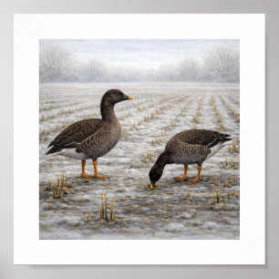 Rotganzen in een Winterveld – Japanse Wilde Vogels Poster