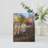 Rotino, Macedonië Briefkaart (Staand voorkant)