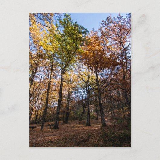 Rotino, Macedonië Briefkaart (Voorkant)