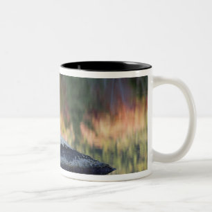 Rots- en boomreflectie, Lily Pond, White Tweekleurige Koffiemok