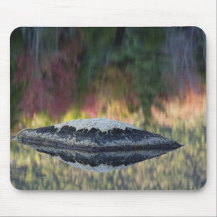 Rots- en boomreflectie, Lily Pond, Wit Muismat