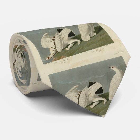 Rots en witstaarten van Ptarmigan - Vogels van Aud Stropdas (Opgerold)