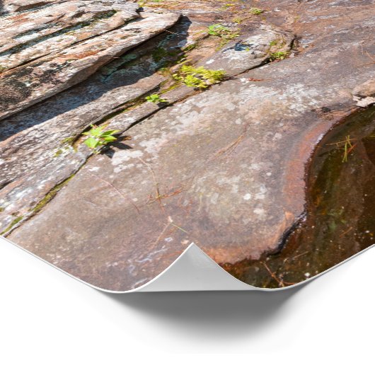 rotsbanken en bossen verbieden het staatspark poster (Hoek)