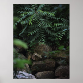 Rotsen en groen poster