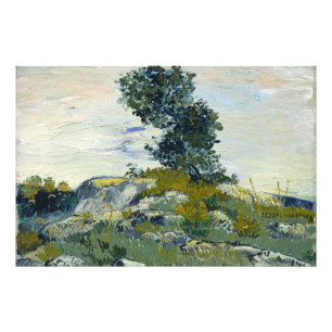 Rotsen met Eikenboom, Van Gogh Olie Schilderij Foto Afdruk