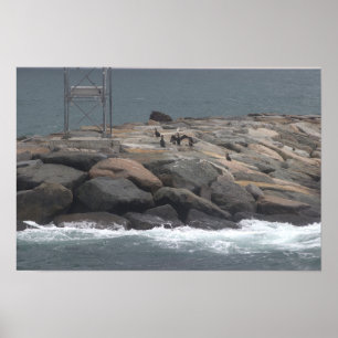 Rotsen met Vogels Oceaan Waterlandschap Poster