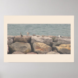 Rotsen met Vogels Oceaan Waterlandschap Poster