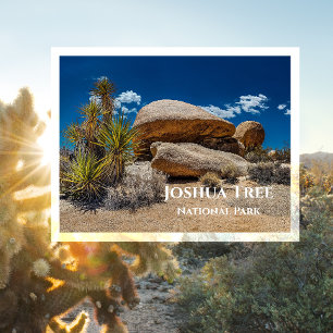 Rotsen, Planten, Zand, Joshua Tree National Park, Briefkaart