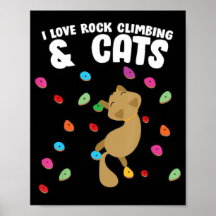 Rotsklimmen en kattenliefdesklinken op zaterdag poster