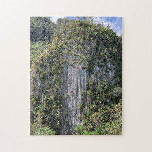 Rotsklimmen Legpuzzel