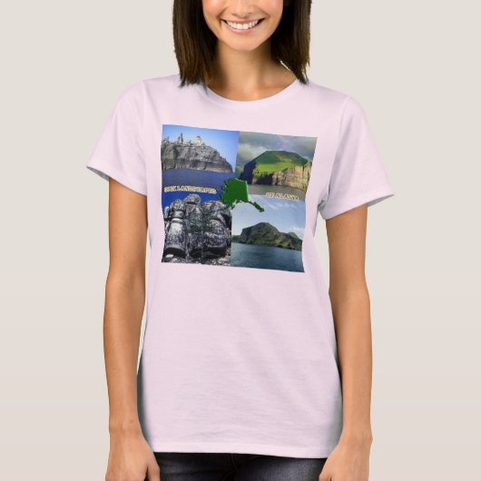 Rotslandschappen van Alaska Collage Vrouwen T-shirt (Voorkant)
