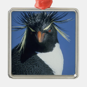 Rotspenguin (Eudyptes chrysocome) Metalen Ornament