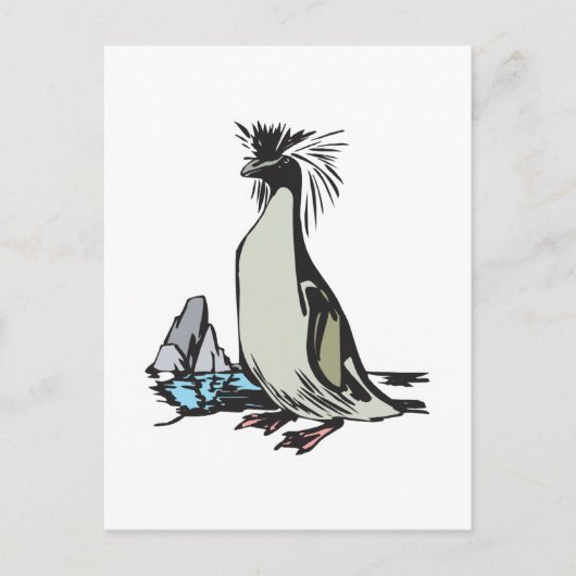 rotspinguïn briefkaart (Voorkant)