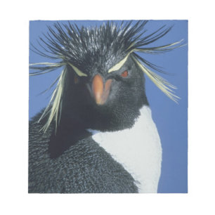 Rotspinguïn (Eudyptes chrysocome) Notitieblok