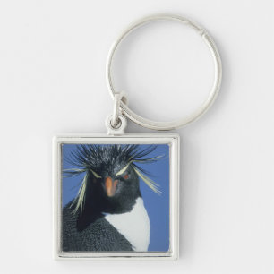 Rotspinguïn (Eudyptes chrysocome) Sleutelhanger