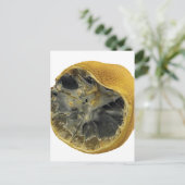 Rotten lemon briefkaart (Staand voorkant)