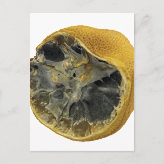 Rotten lemon briefkaart (Voorkant)