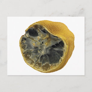 Rotten lemon briefkaart