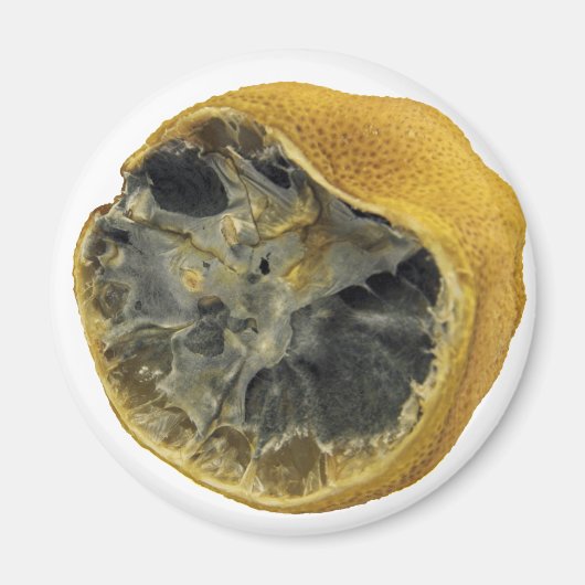 Rotten lemon magneet (Voorkant)