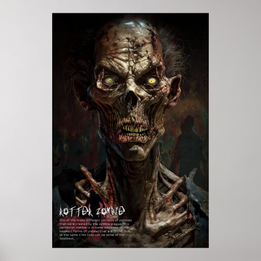 Rotter Zombie - Poster (Voorkant)