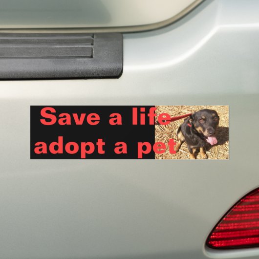 Rotti Mix Bumpersticker (Op auto)