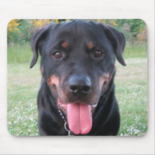 Rottie Muismat