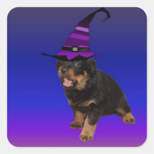 Rottie Witch Vierkante Sticker